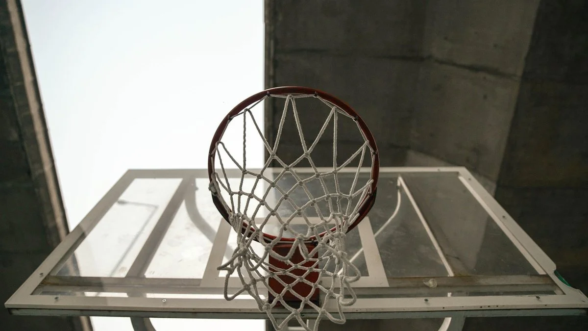 NBA休赛期十队上演争夺战，詹姆斯与字母哥去向引争议